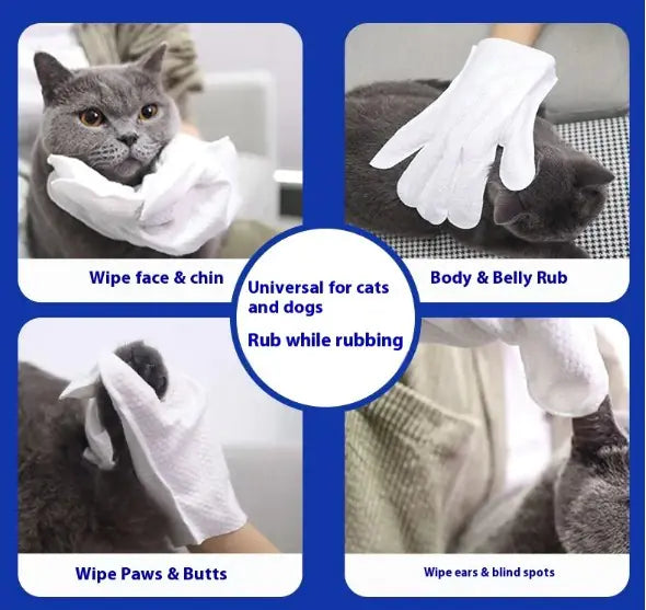 Pet Bath-Free Cleaning Gloves